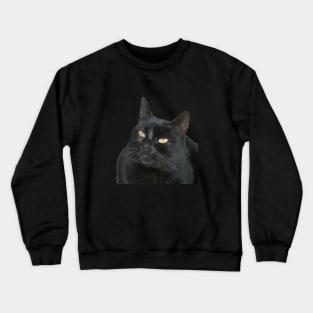 Black Cat With Beautiful Yellow Eyes Vector Art Cut Out Crewneck Sweatshirt